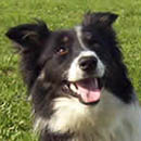 Martha was adopted in April, 2005